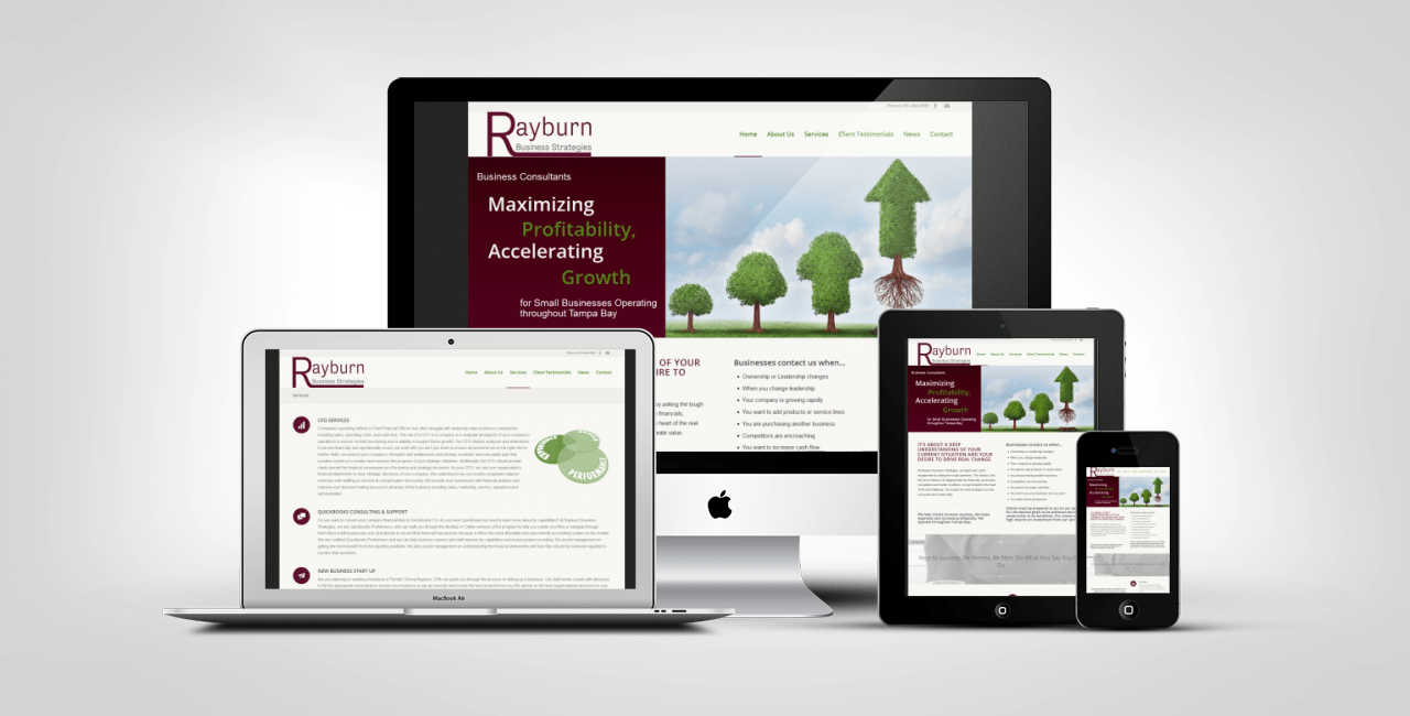 Rayburn Business Strategies 4 Web Design Portfolio Example