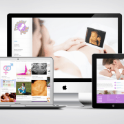 Web Design Portfolio Example