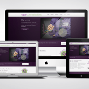 Web Design Portfolio Example Web Design Portfolio Example