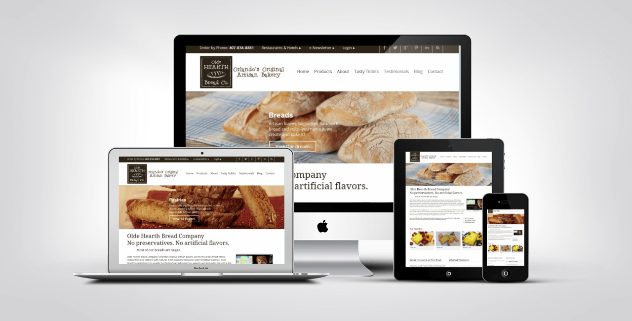 Web Design Portfolio Example