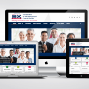 Web Design Portfolio Example Web Design Portfolio Example