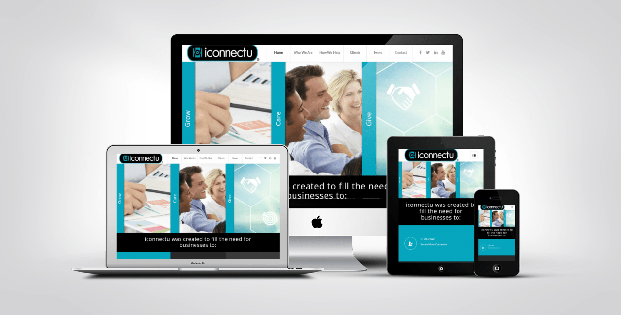 iconnectu Business Consulting 24 Website Design Portfolio Example